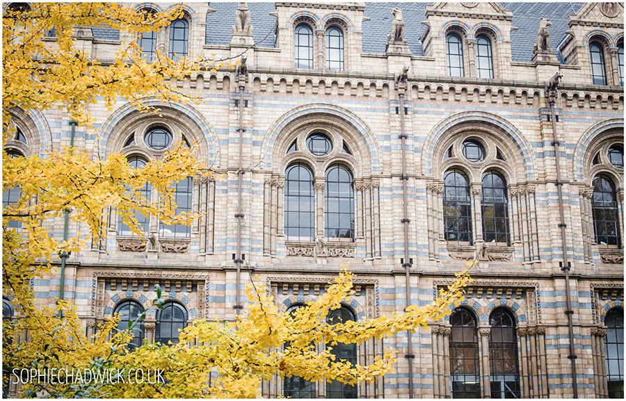nhm12