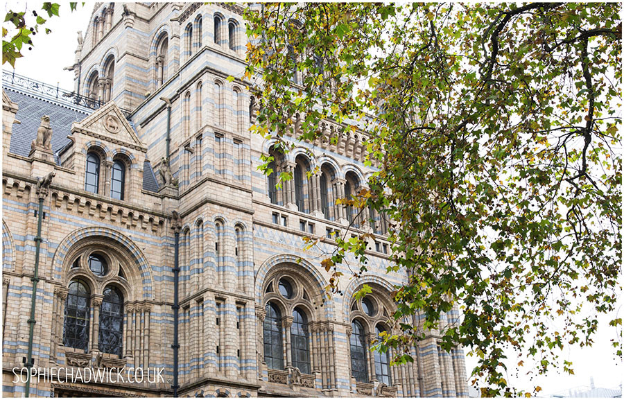 nhm13