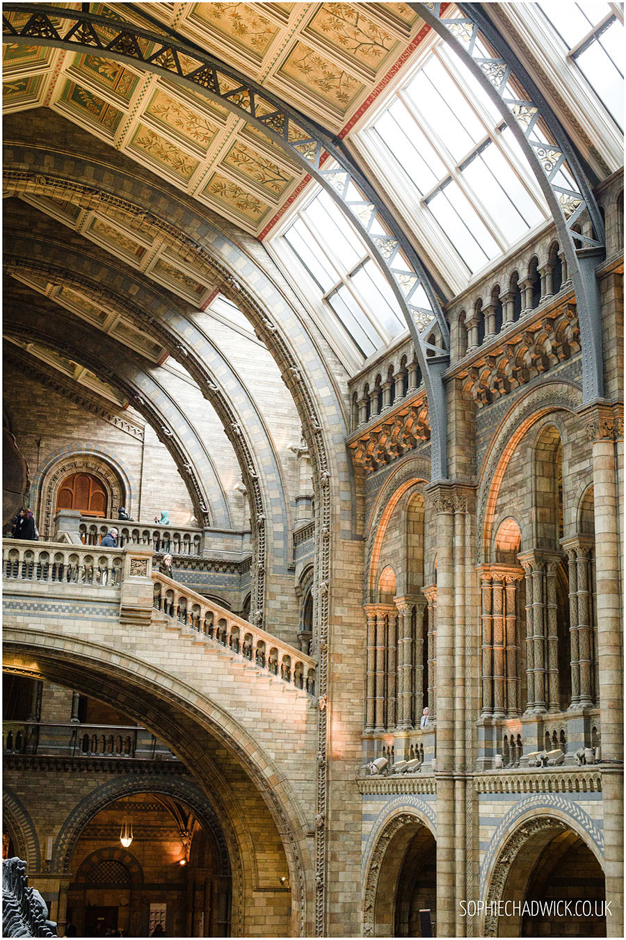 nhm22