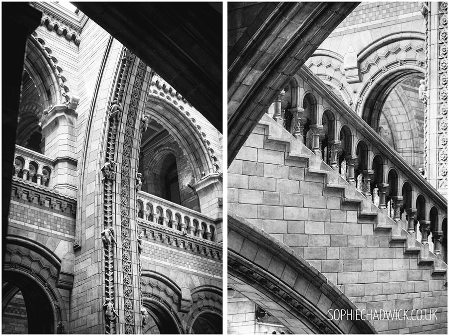 nhm24