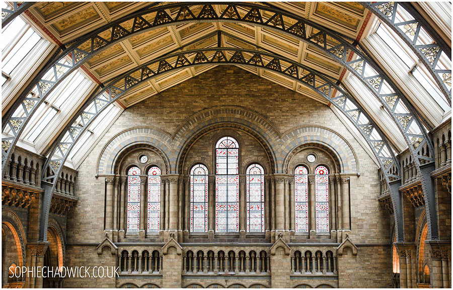nhm3
