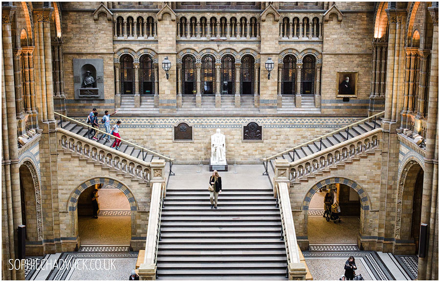 nhm5