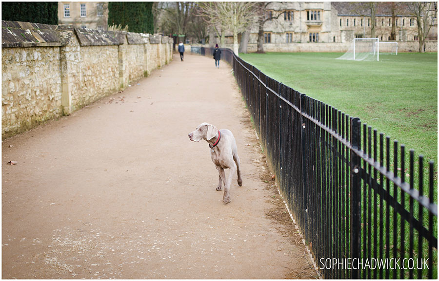 SophieChadwickPhotography56