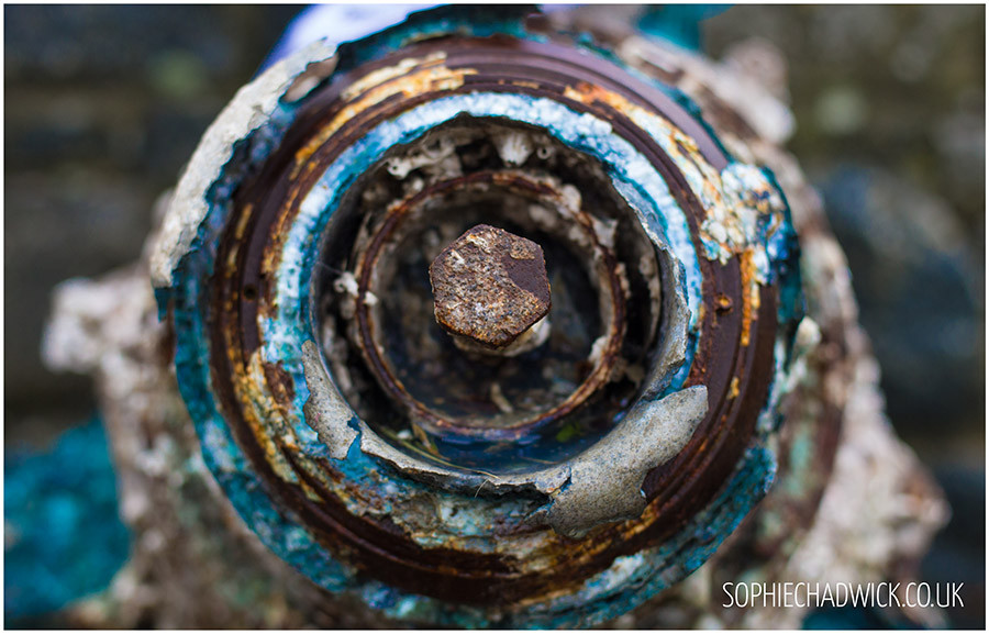 SophieChadwickPhotography61