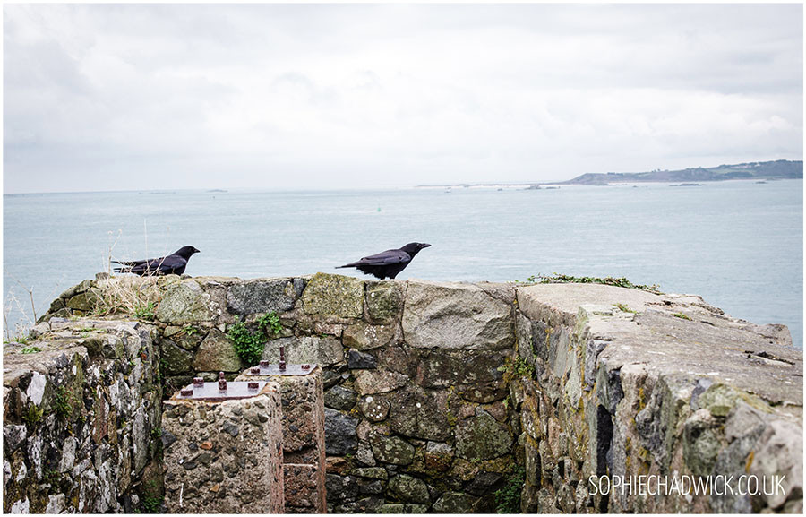 SophieChadwickPhotography90