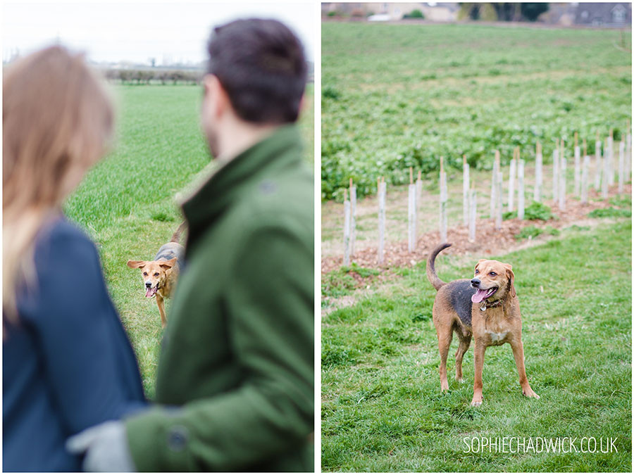 SophieChadwickPhotography128